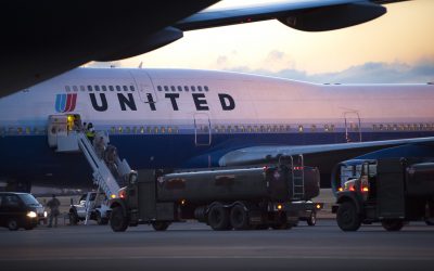 United Bans Many Popular Dog And Cat Breeds From Cargo Holds After Pet Deaths