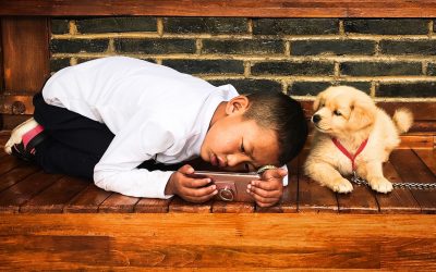 4 Tips on How to Introduce a New Pet to Kids