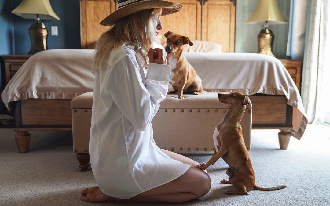 Survey Reveals How Much Millennials Are Spending on Their Dogs and Cats
