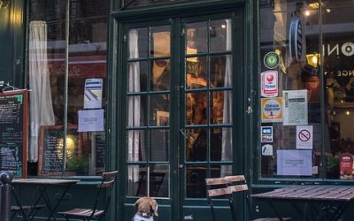 Dogs Dining On Patios Are Illegal Interlopers No More