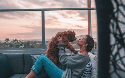 This Airport Hotel Is Now Pampering Dogs with Dinner and Drinks