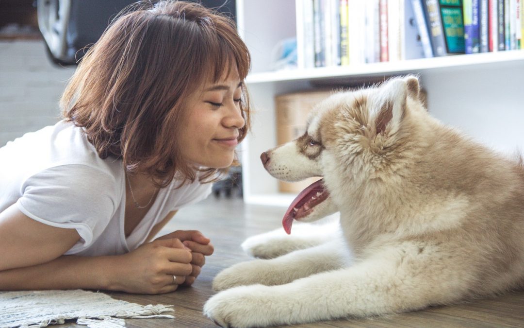 Study: Your dog not only loves you, it will try to save your life