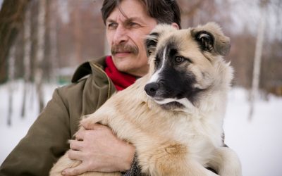 Do you look like your dog? Canine-human lookalikes in pictures