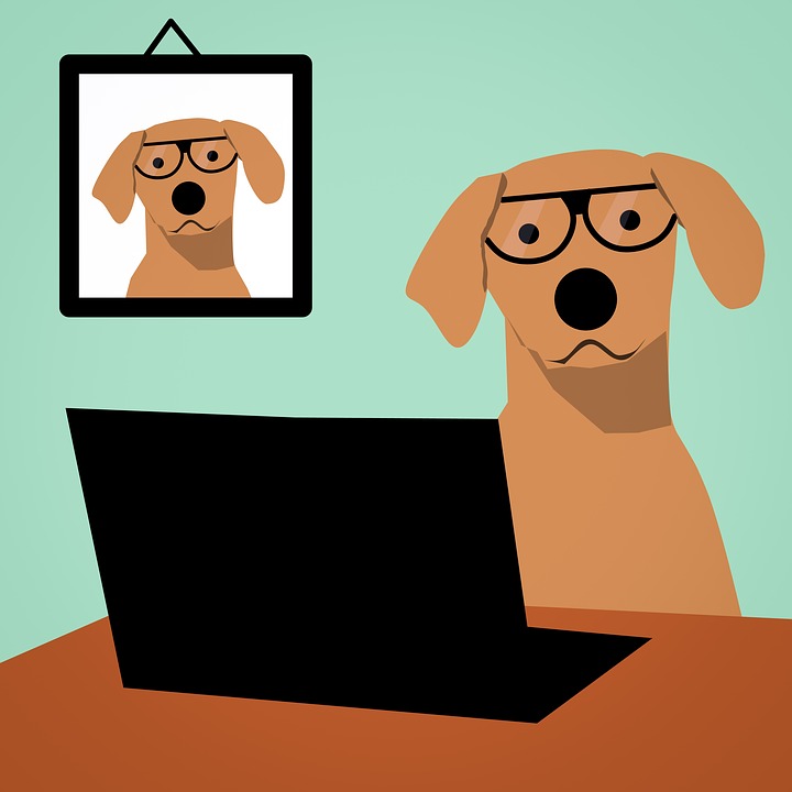 what-makes-a-good-working-dog-canine-aptitude-test-might-offer-clues-knugroup
