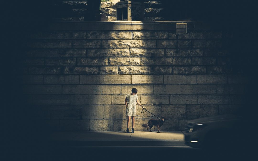 4 Tips For Safely Walking Your Dog At Night