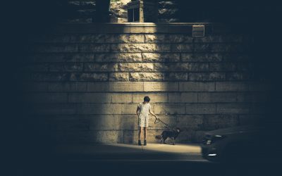 4 Tips For Safely Walking Your Dog At Night